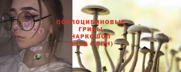 соль ск Осинники