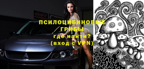 сатива Переславль-Залесский