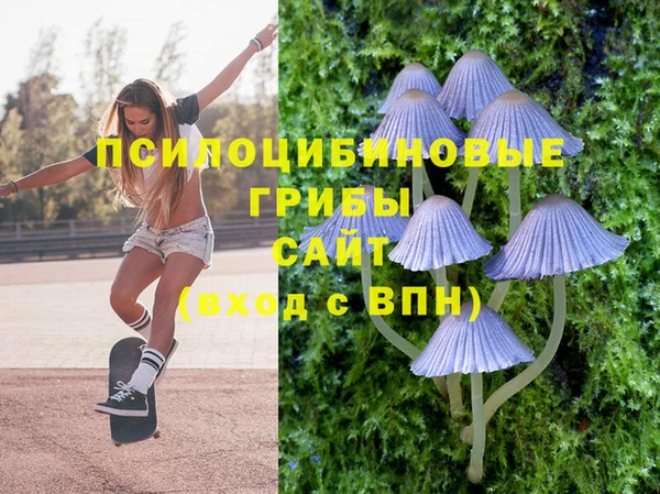 ALPHA PVP Остров