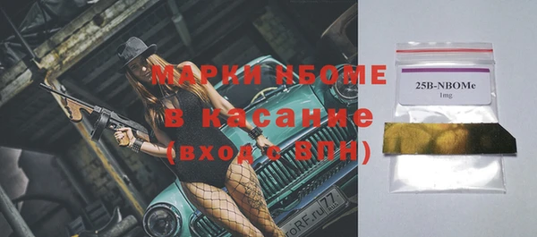 индика Пересвет