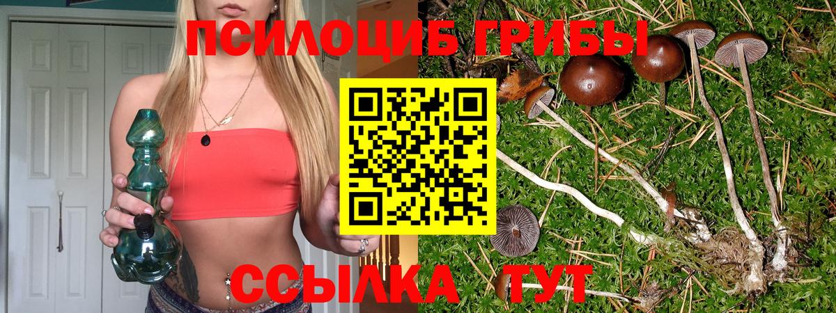 Галлюциногенные грибы Psilocybe  Псилоцибиновые грибы Cubensis  Барабинск  Вход с VPN 
